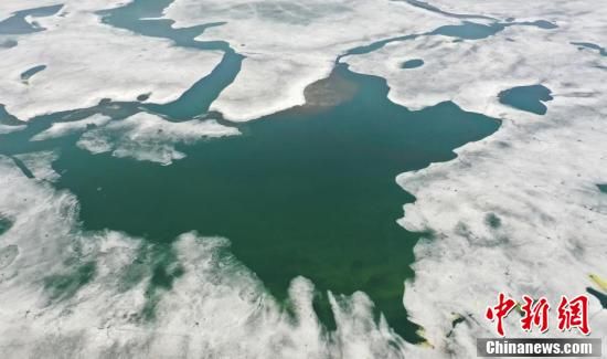 �������(y��ng)���ӡ�ˮī��(hu��)��